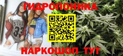 ГАЛЛЮЦИНОГЕННЫЕ ГРИБЫ Кинель