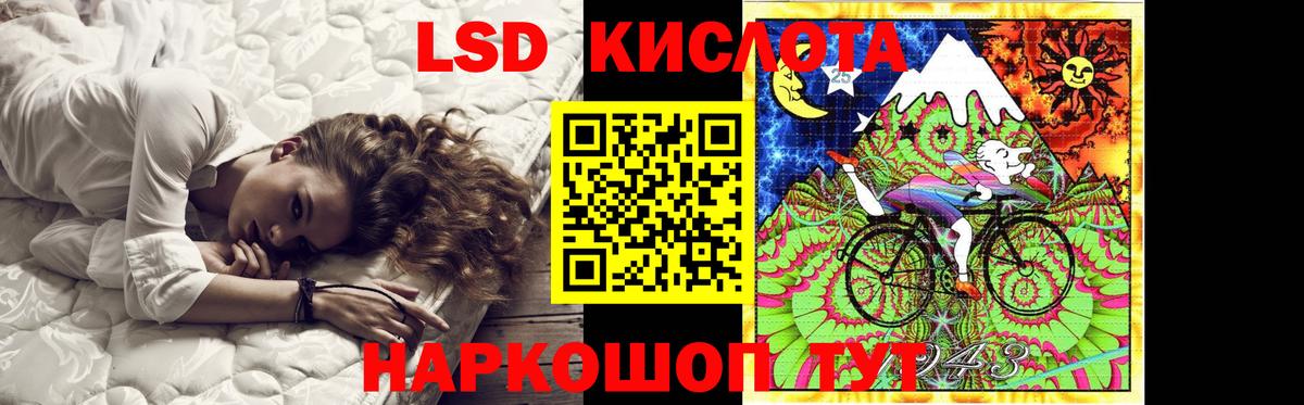 A-PVP Биробиджан