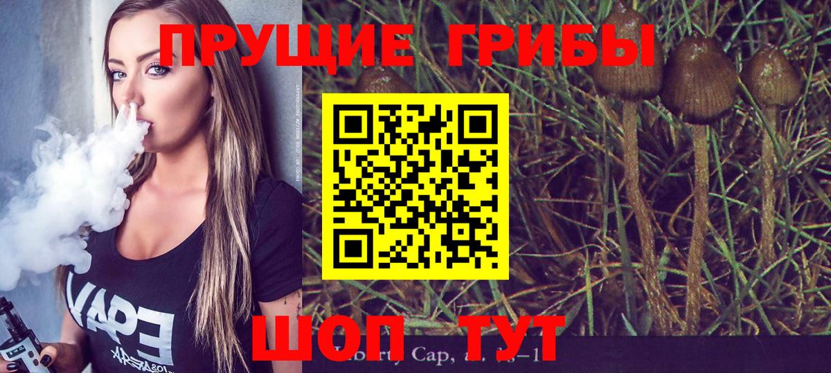 Галлюциногенные грибы Psilocybe Биробиджан