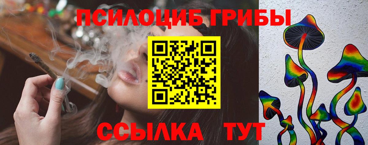 Галлюциногенные грибы MAGIC MUSHROOMS  Галлюциногенные грибы GOLDEN TEACHER  Вход с VPN  где продают   Биробиджан 